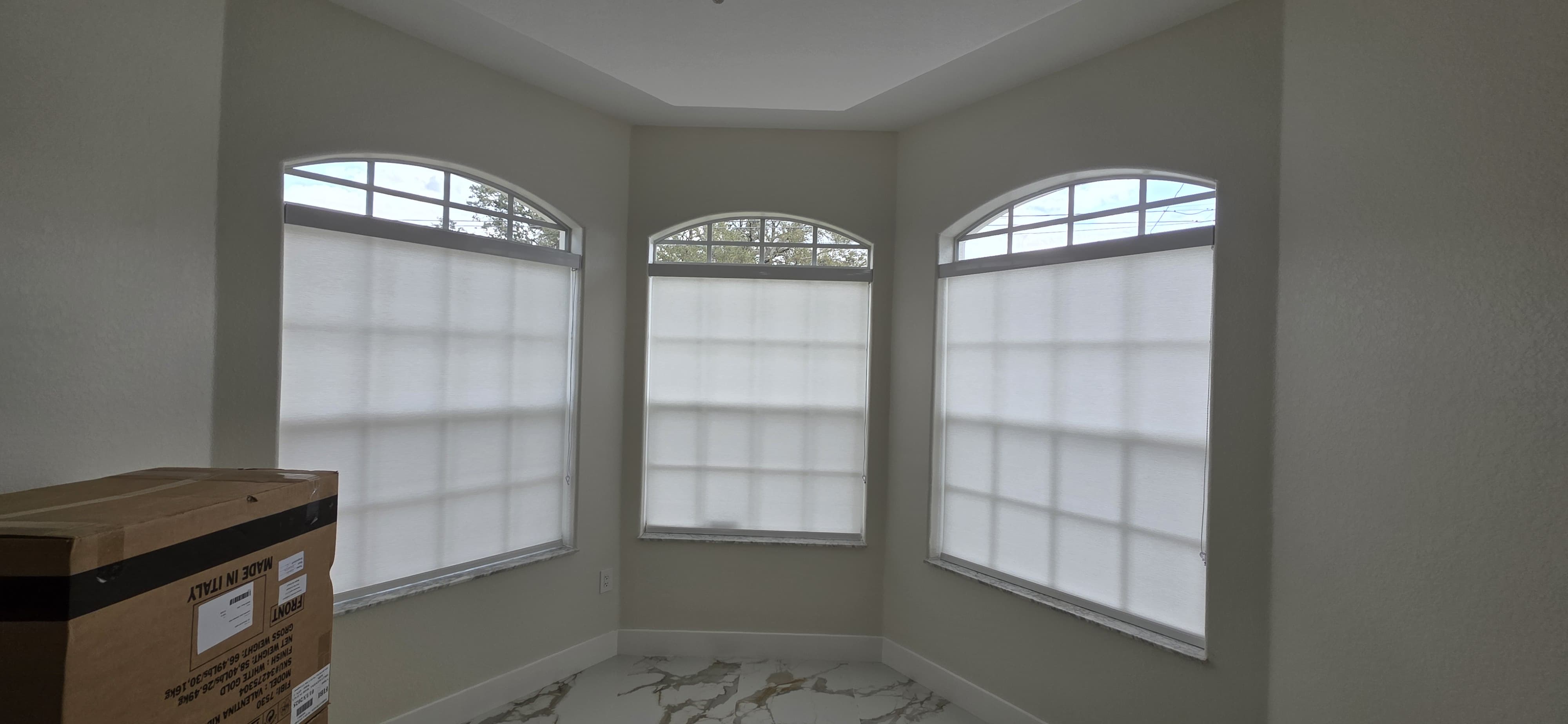 Traslúcidos installation — , Tampa Bay
